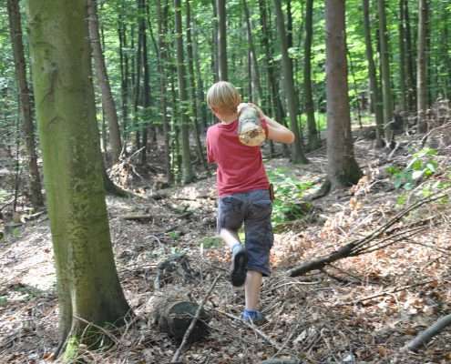 visionssuche, Medicinewalk