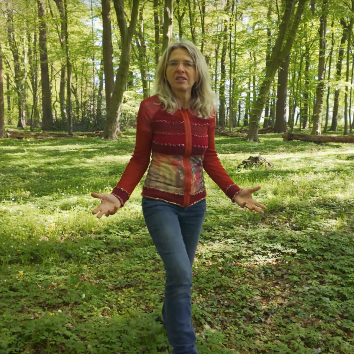 Healing Nature – Videos